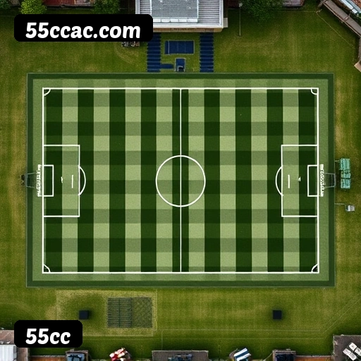 Estatísticas 55cc novembro 2024 - 87 mil jogadores ativos, R$47M pagos, RTP 96.52%